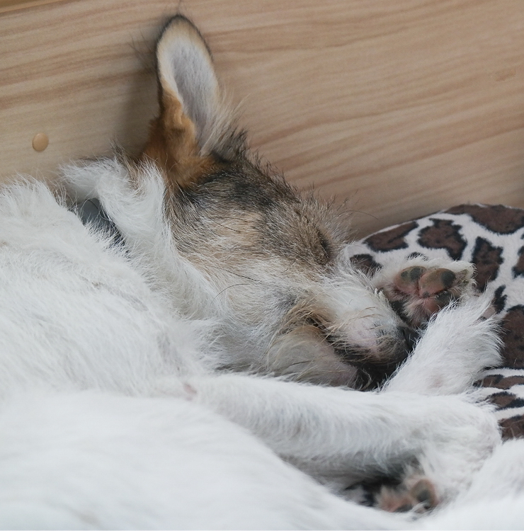 Felix Holland 6 - 2013 _SAM_1697 als Smart-Objekt-1 Kopie.jpg - Nachmittagsschläfchen im Wohnmobil